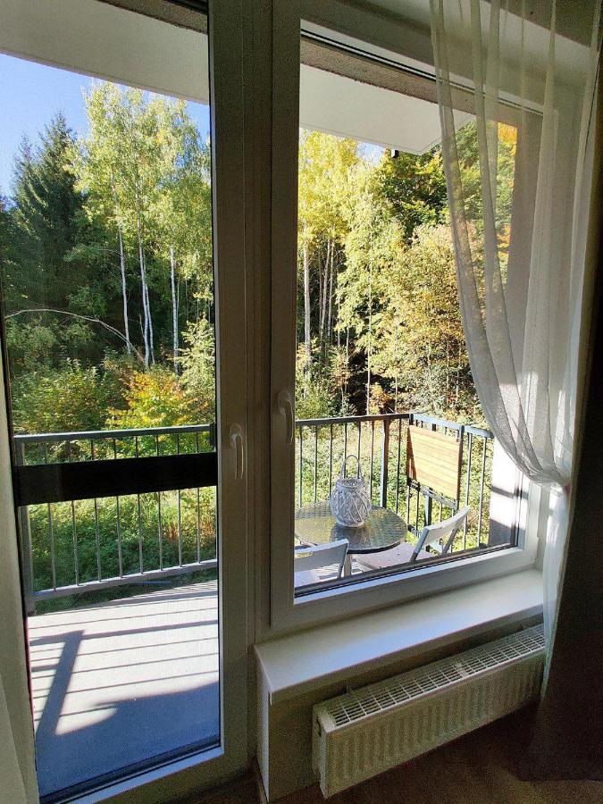 Grun Wald Apartment