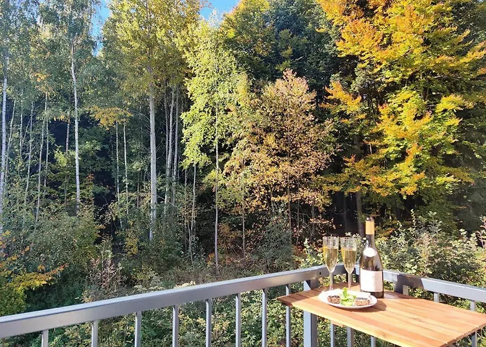 Apartment Grun Wald Marianske Lazne